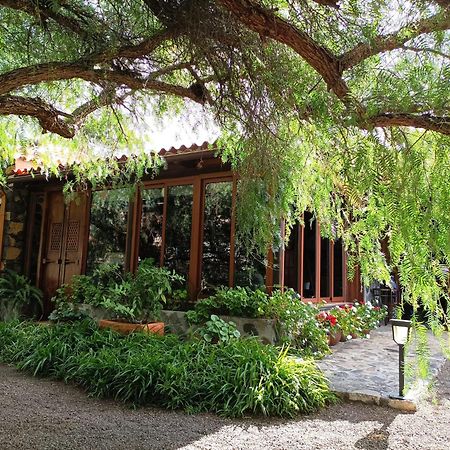 Finca Alda Los Llanos De Aridane Zewnętrze zdjęcie